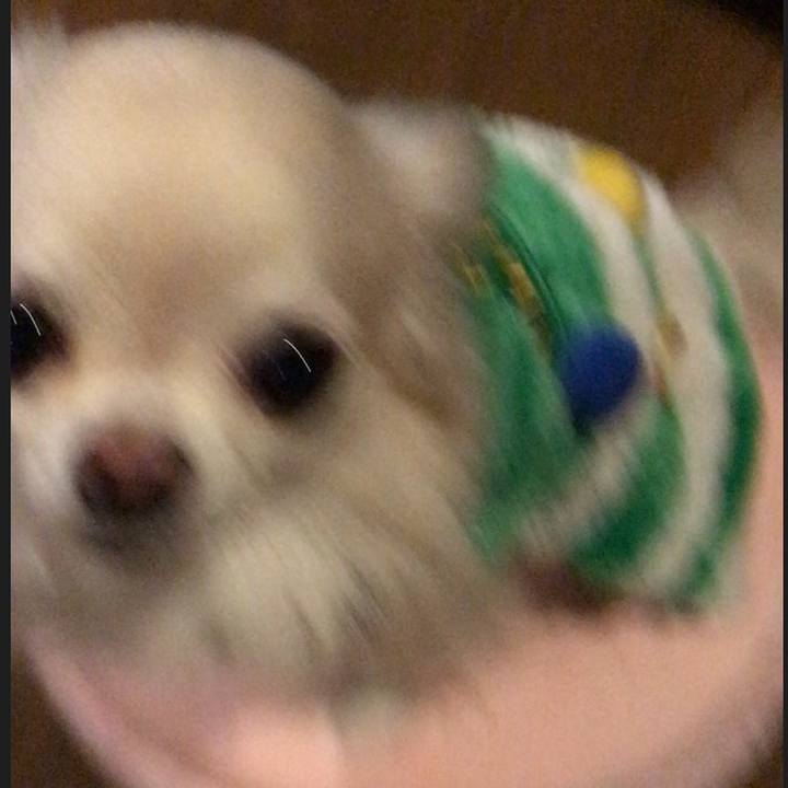 2b8f1260 6bb7 492b ad8e 21ec6e5a7239 1511527684066