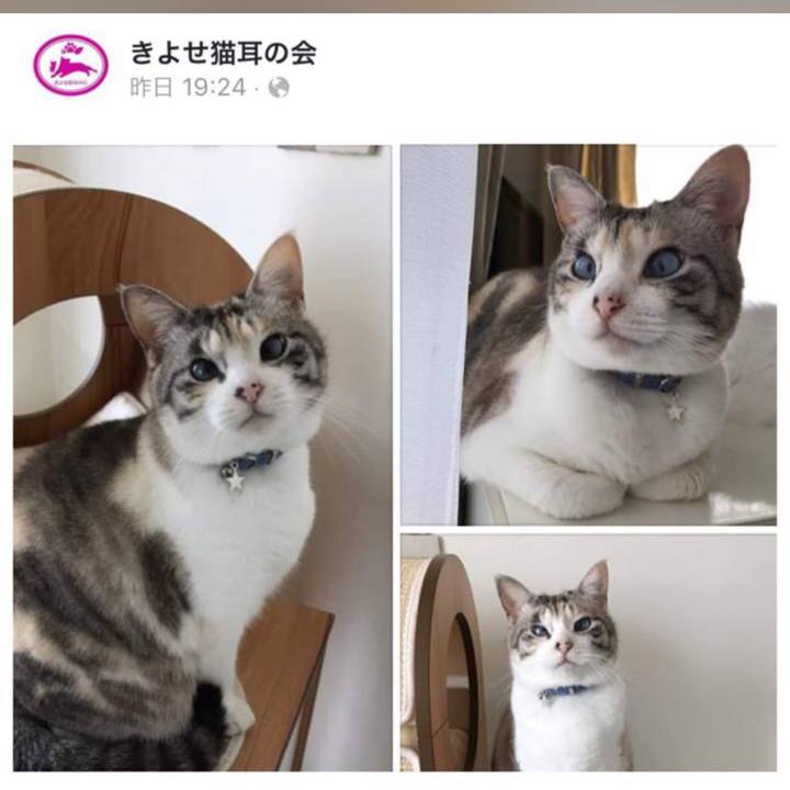 2b8f17a4 a74a 4fc9 bfca b743d3412c32 1560223139468