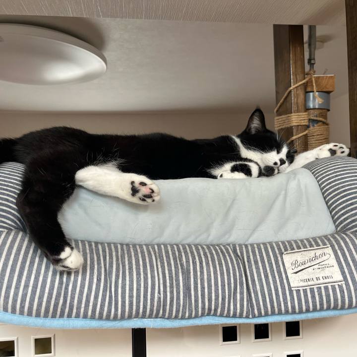 2b8f36ae 6996 443d 9a80 601320edd068 1694866334692