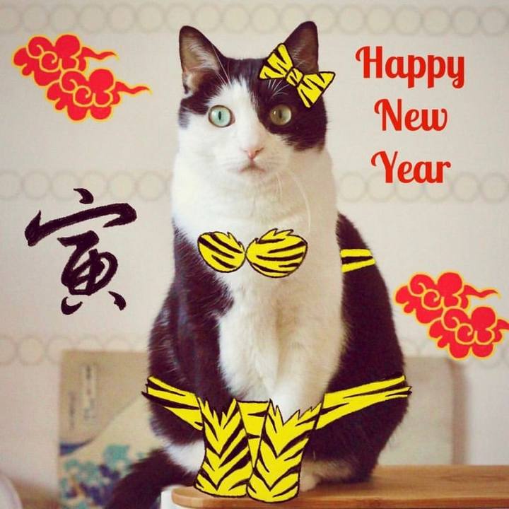 2b8f4b47 3260 486f b2e9 7133de667c97 1643704865670