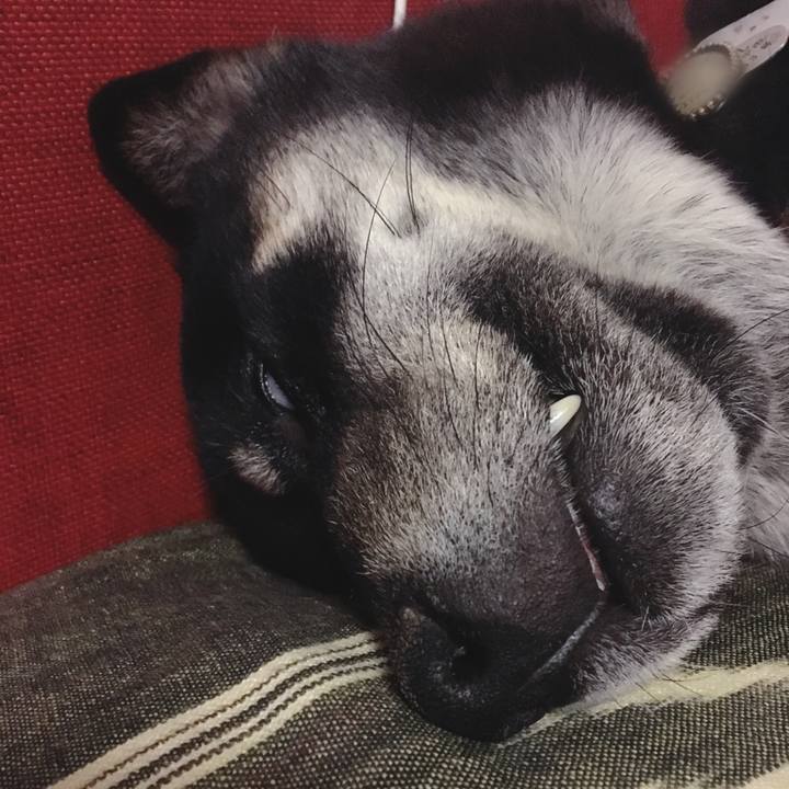 2b8f52ca 70d3 420a bb10 0796f0bf8107 1518881157802