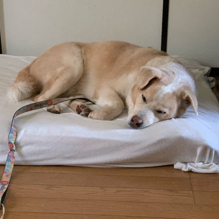 2b8fa884 4bf0 4f83 bcfa 9ac525c64a16 1601180985337