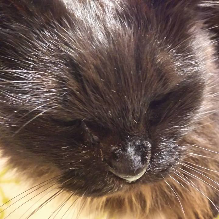 2b8fb8ea c300 4709 a4a5 ec6480120934 1577108864705