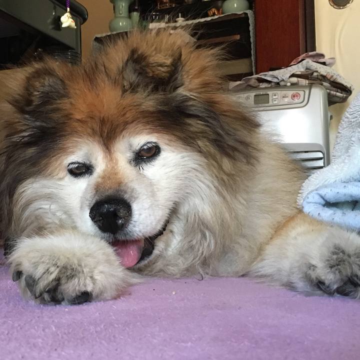 2b8fcaa0 b655 4ba3 9488 0ef160110558 1557298486987