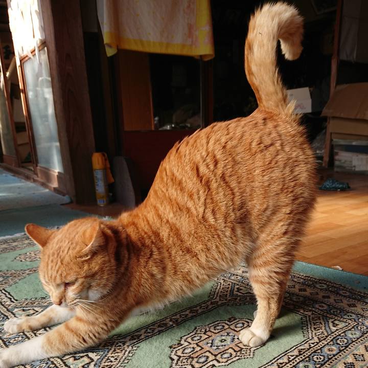 2b8fdd13 a640 4571 84f2 bab8f8c27801 1576898225669