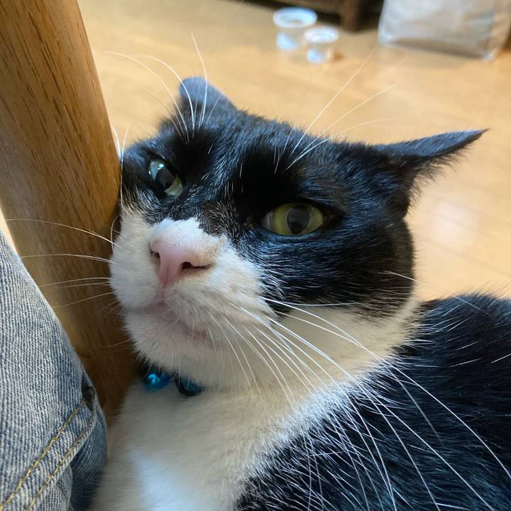 2b8fe9d7 047c 41d1 a94b 6ba3c350bf1a 1719930596082