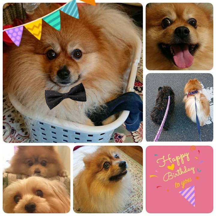 2b9000ac bca0 48e8 9031 1467f8f297a8 1537518157777