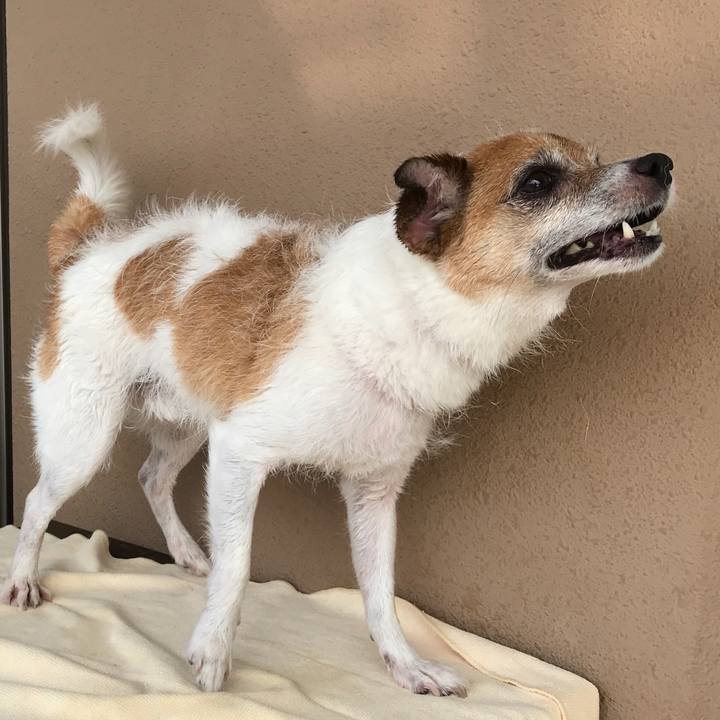 2b900651 6e75 44fa a11c 51f279ed9e8f 1596950119496