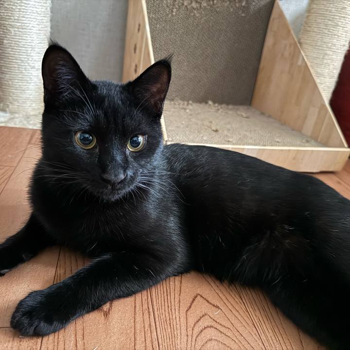 2b901c68 21e6 4da9 b5a3 d39e8c68b9f4 1735609166856