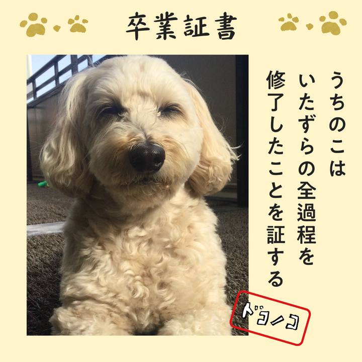 2b904003 5d3b 4ece aecc 28effffeda5a 1771818096365