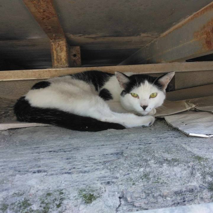 2b904d1b 917d 4127 b0ff 1eb4f69f5dfc 1689552410161