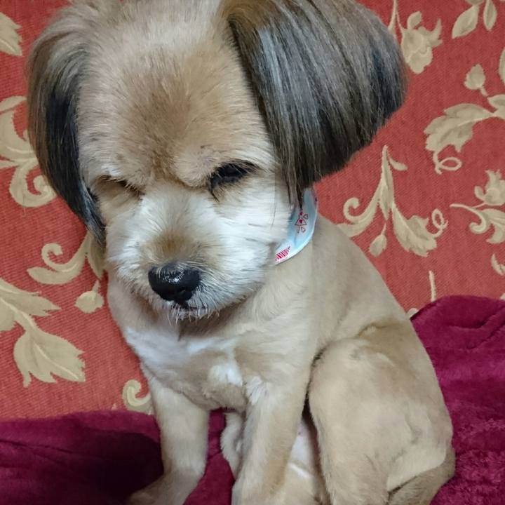 2b90974d 3cbd 4916 a5b7 da8fd1ceec4a 1512682740242