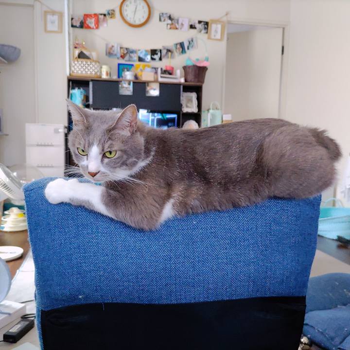 2b90a8d6 d89a 4c1e 9a61 5ec92583124a 1691928925192