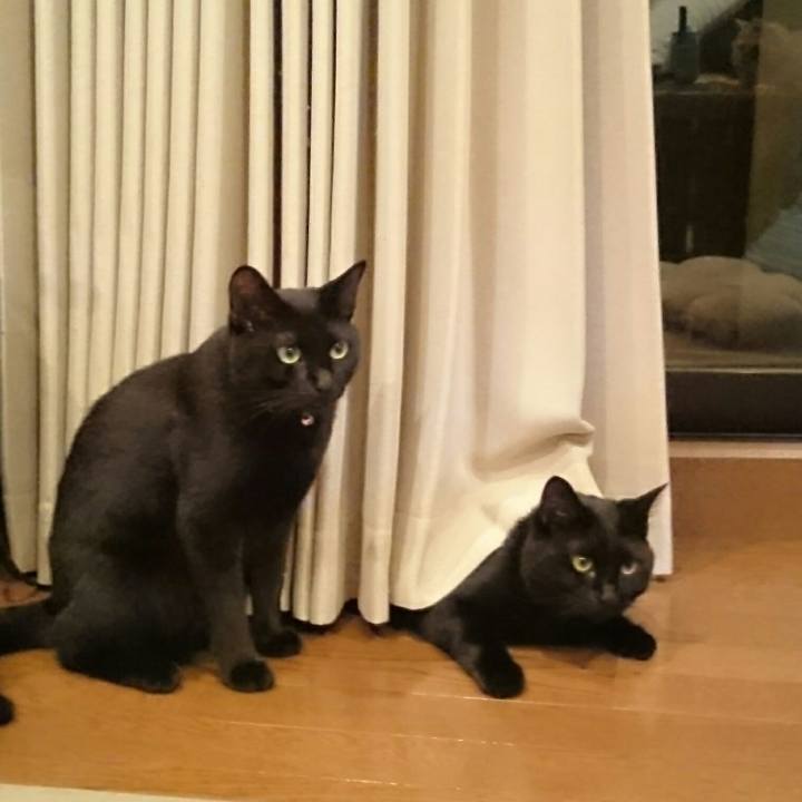 2b90b3ed 41d9 40cb 96c7 52ea8ac07960 1535247252197