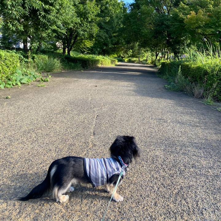 2b90f949 94e9 40fa 9ed9 b68544017c00 1753831821667