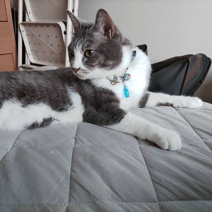 2b910038 b0a0 475f 96ff a5864380db0a 1688076545318