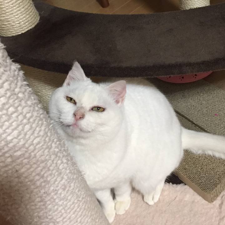 2b913f7e 1f05 4598 a83b 8aca06c0231f 1519963181465