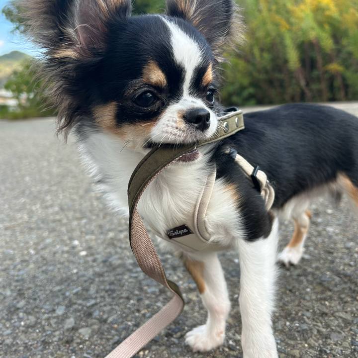 2b914093 6c66 4f41 9521 675265a5d90e 1762058471380