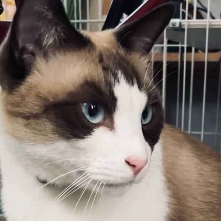 2b91442a 1083 4b6a 92a8 a4fb5a8abd9d 1729826412570