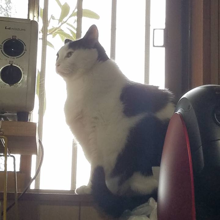 2b914975 731d 44a5 84f3 93ed45a657f4 1619584867246