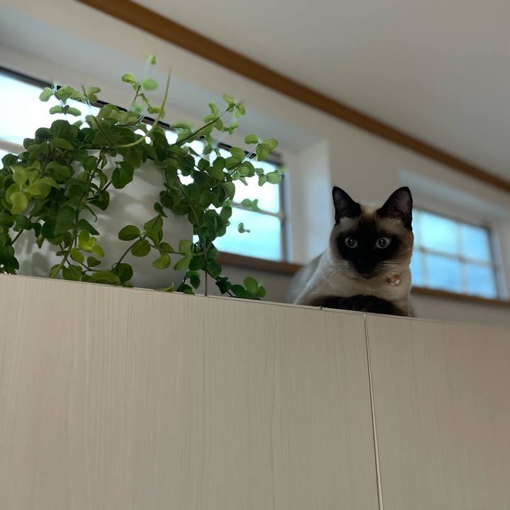 2b917963 38f5 4b9c 95f5 5f4e66a4153e 1722369188608