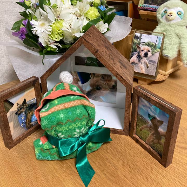 2b91aa60 6fe4 41ec a46b d268f904a713 1701753007329