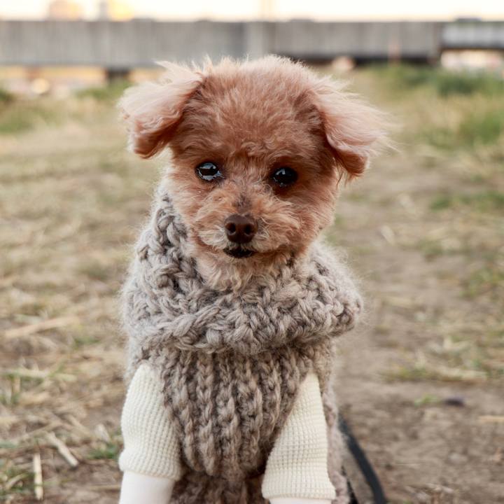 2b91ee57 f4ee 4ac1 b003 560051689517 1613045927334