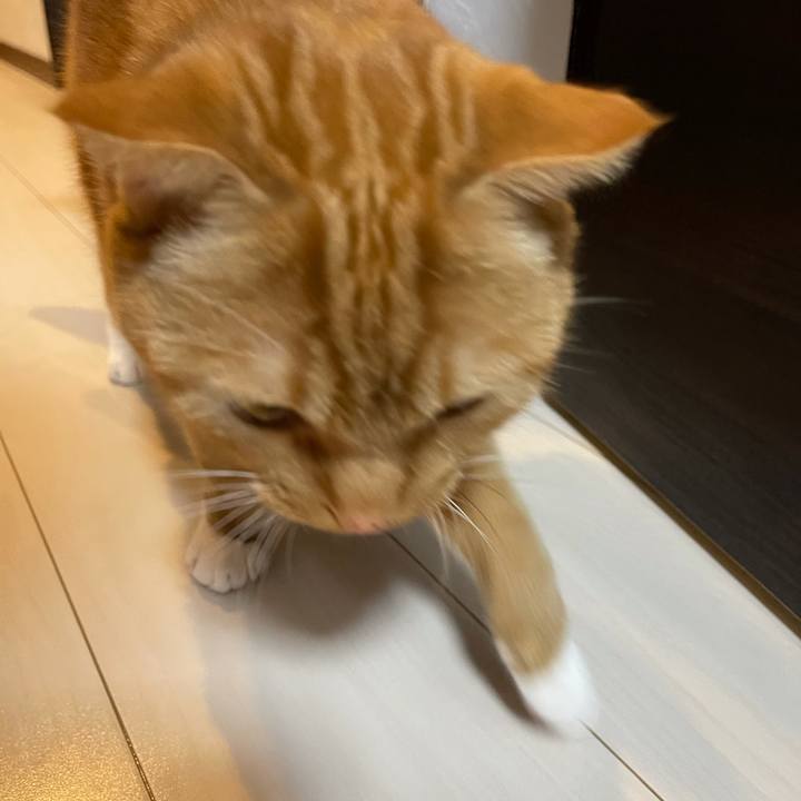 2b9217b6 16dd 4fa5 bb95 443b7a50fc3c 1617888445022