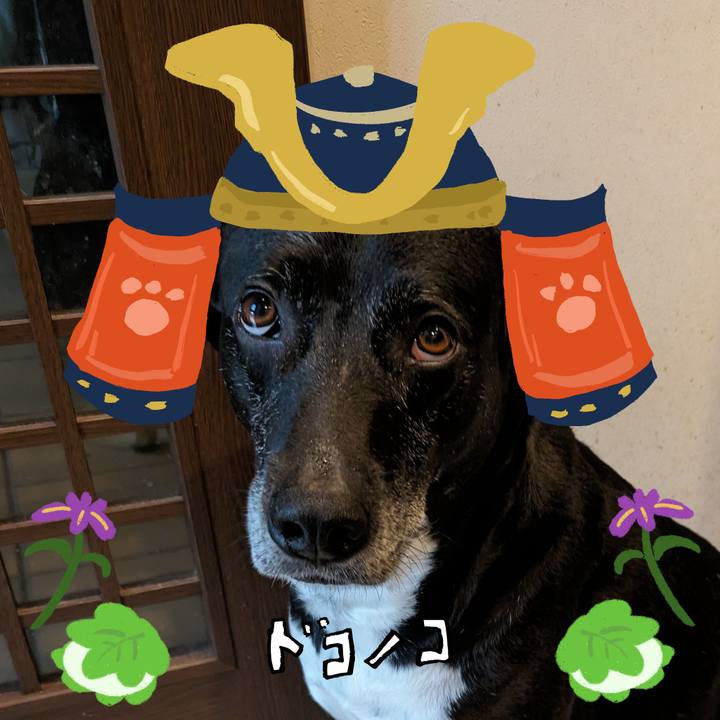 2b9222d7 8379 4649 8157 e6c2d6eb51e2 1714876503348