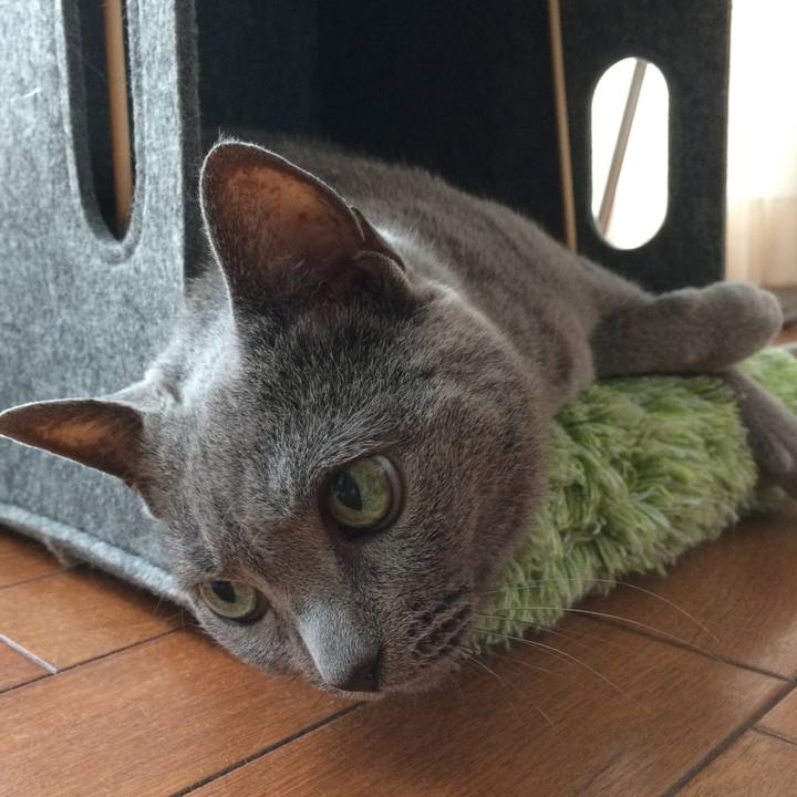 2b922f36 10ff 4762 ad28 ed36f9220cdb 1508633163806