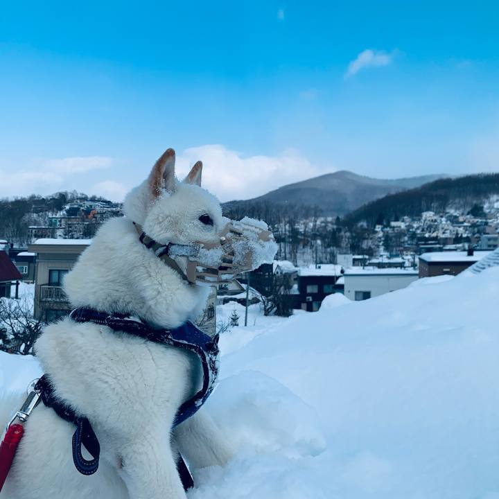 2b925acd 7697 4269 8541 1d0fdc462780 1644718559356