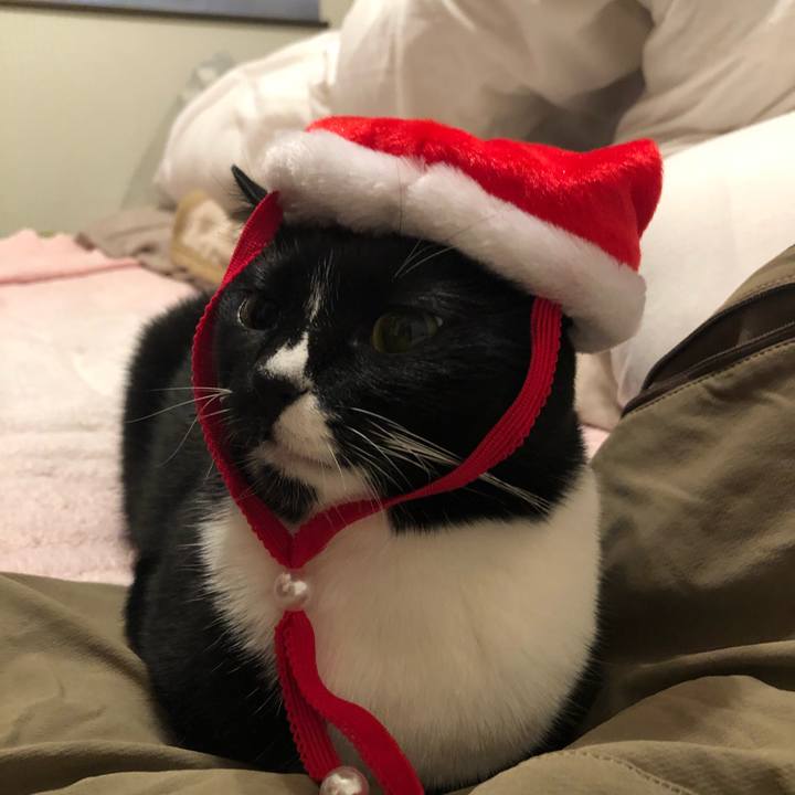 2b927337 8aa9 413a 9674 9bf9aebf2460 1545639418441