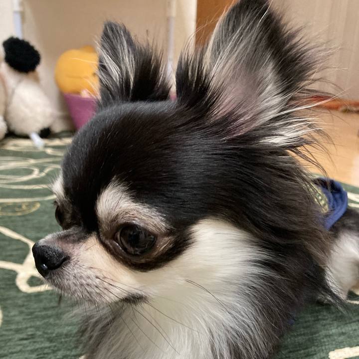 2b9292af d39e 43d1 ad1e 23a81d6e6fd9 1637502551469