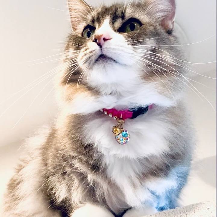 2b929865 fbc0 42d9 9edb 344267cb936e 1699983270765