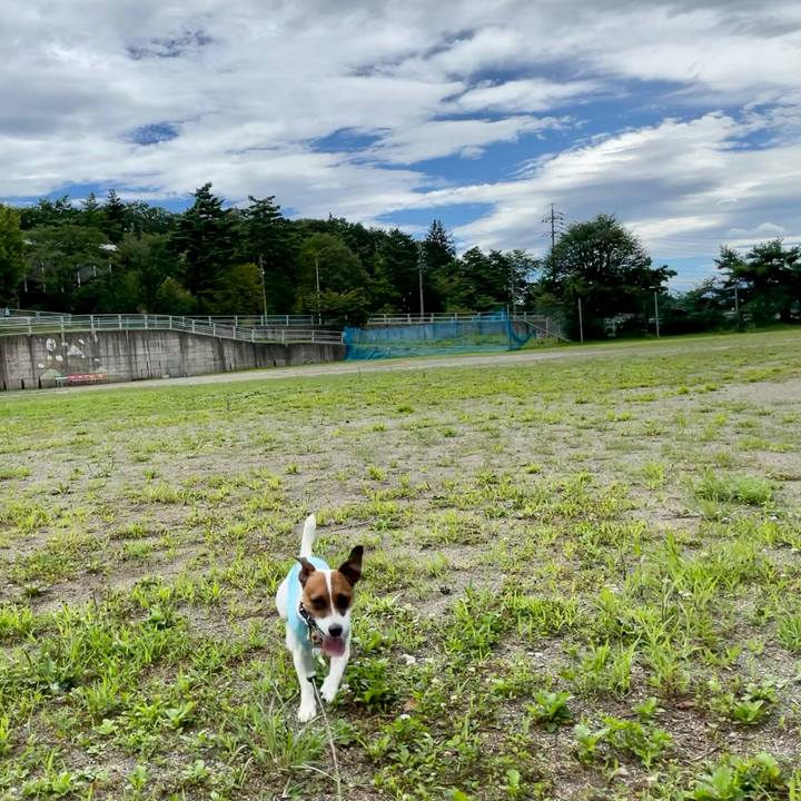 2b92a830 e860 4f36 a745 21b40b051d42 1629344038694