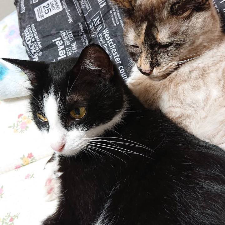 2b92a99c ff8d 4da7 9a22 8e3e55933b20 1562255451021