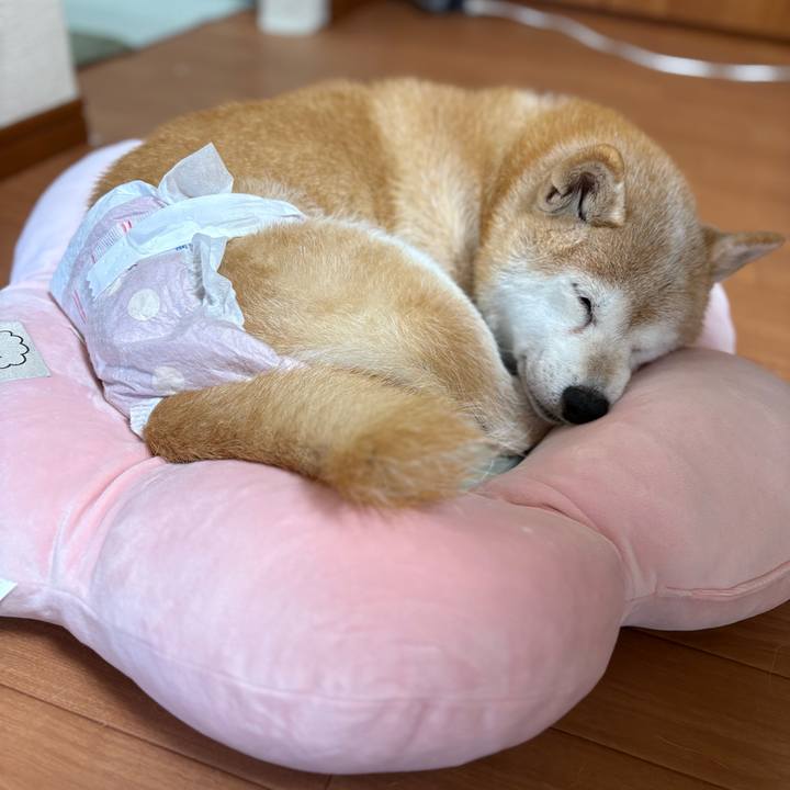 2b92cb63 e8cb 452e adfe d7b9c3b52446 1759537680734