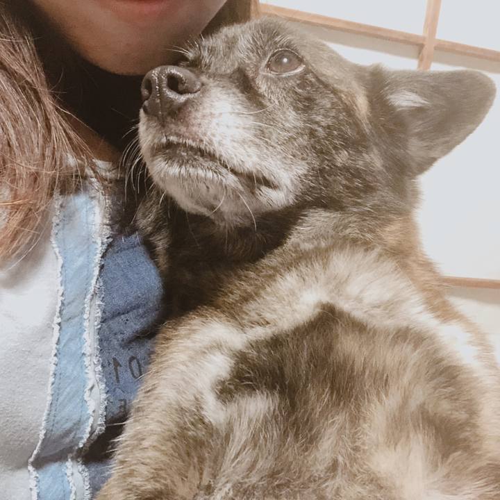 2b92e05a 69fa 450e a58a 1f1b6259b4b9 1594907779448