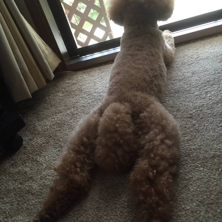 2b934b04 db84 4758 b54f d9a3a33729aa 1508652790541