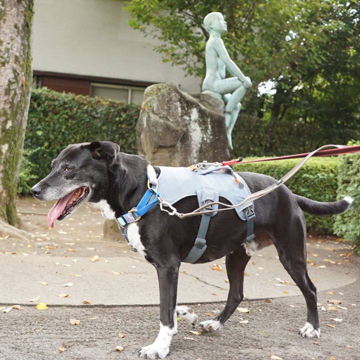 2b9360ca 10e0 40a5 a51d ed4a905f8b26 1758933798526