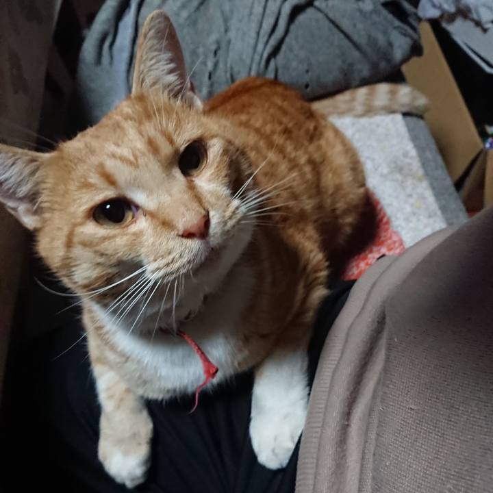 2b936da5 75d6 4b9a aa23 4c2ca33ac140 1574459364872