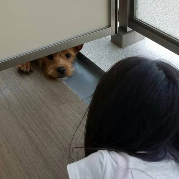 2b93887d a6be 47b1 85a8 5ae91c3b81b0 1530001295244