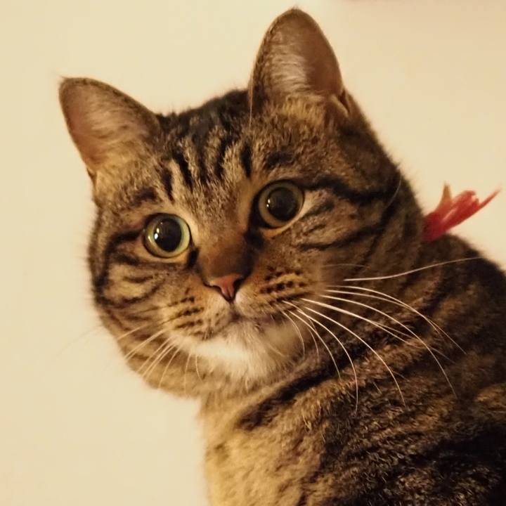 2b9396f3 6278 4aec 8b21 fb361e9d91a2 1611585087423