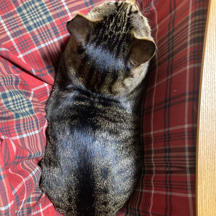 2b93a494 8290 44db bce0 180fea627fa2 1648543293019