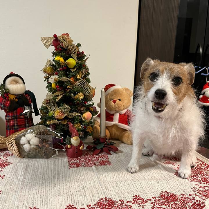 2b94018b ea8c 4b9f acd2 1d5e8001453f 1699177833158