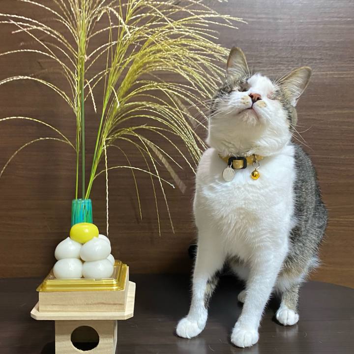 2b9403d4 f96b 4a5d bdd1 48d2dd3241c3 1759652256932