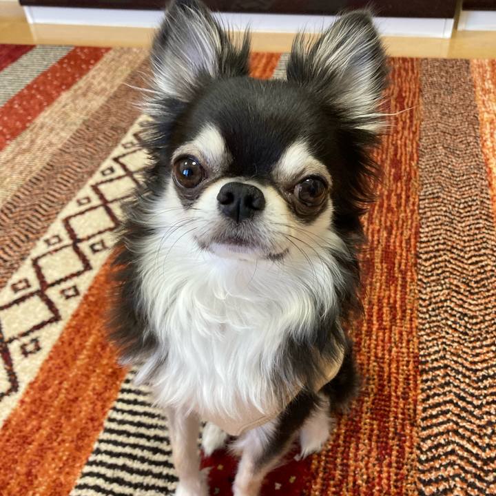 2b94196e 9453 44ce a0e2 fce043a2d467 1677337192251