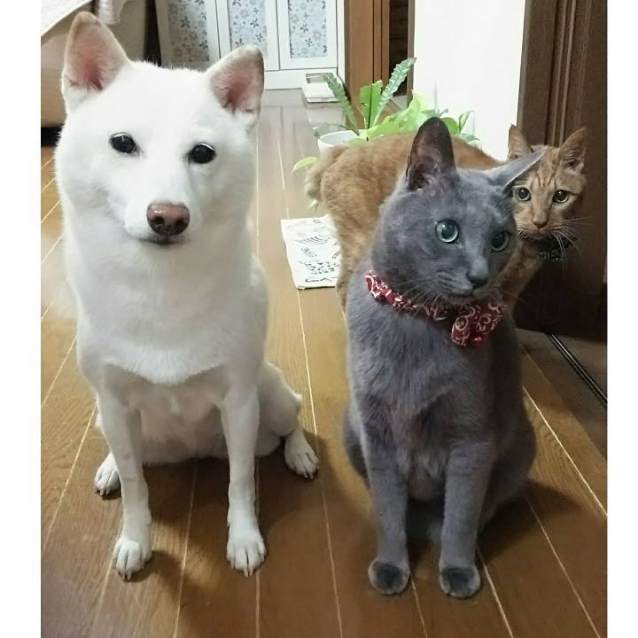 2b9436e3 5028 45a2 881d 0b68d9319608 1537782291872