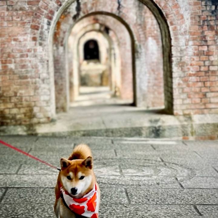 2b944922 8a50 4772 b08d a7e213dad9a5 1747445101437