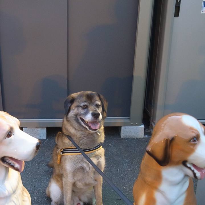 2b9461ba 14a2 4e7c b623 9cd4885ada22 1587114003061